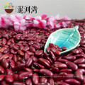 High Quality Dark Red Kidney Bean / DRKB With Competitive Price